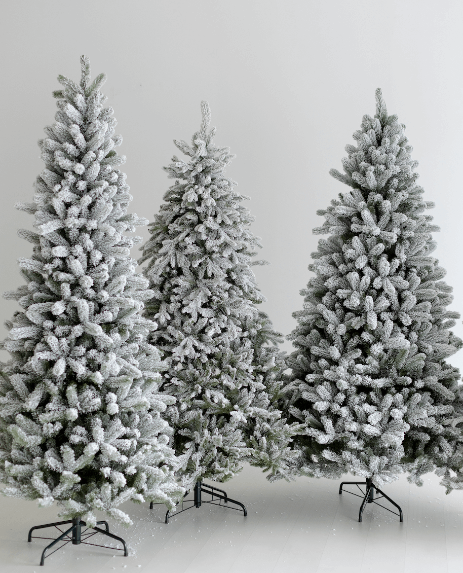 Which Size Tree, Including the Width and Height, Is a Good Fit For You?