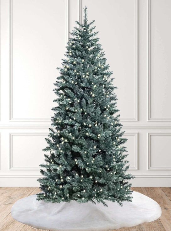 King of Christmas 8' Tribeca Spruce Blue Slim Artificial Christmas Tree with 500 Warm White LED Lights