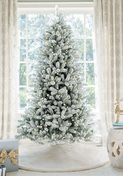 Christmas Trees