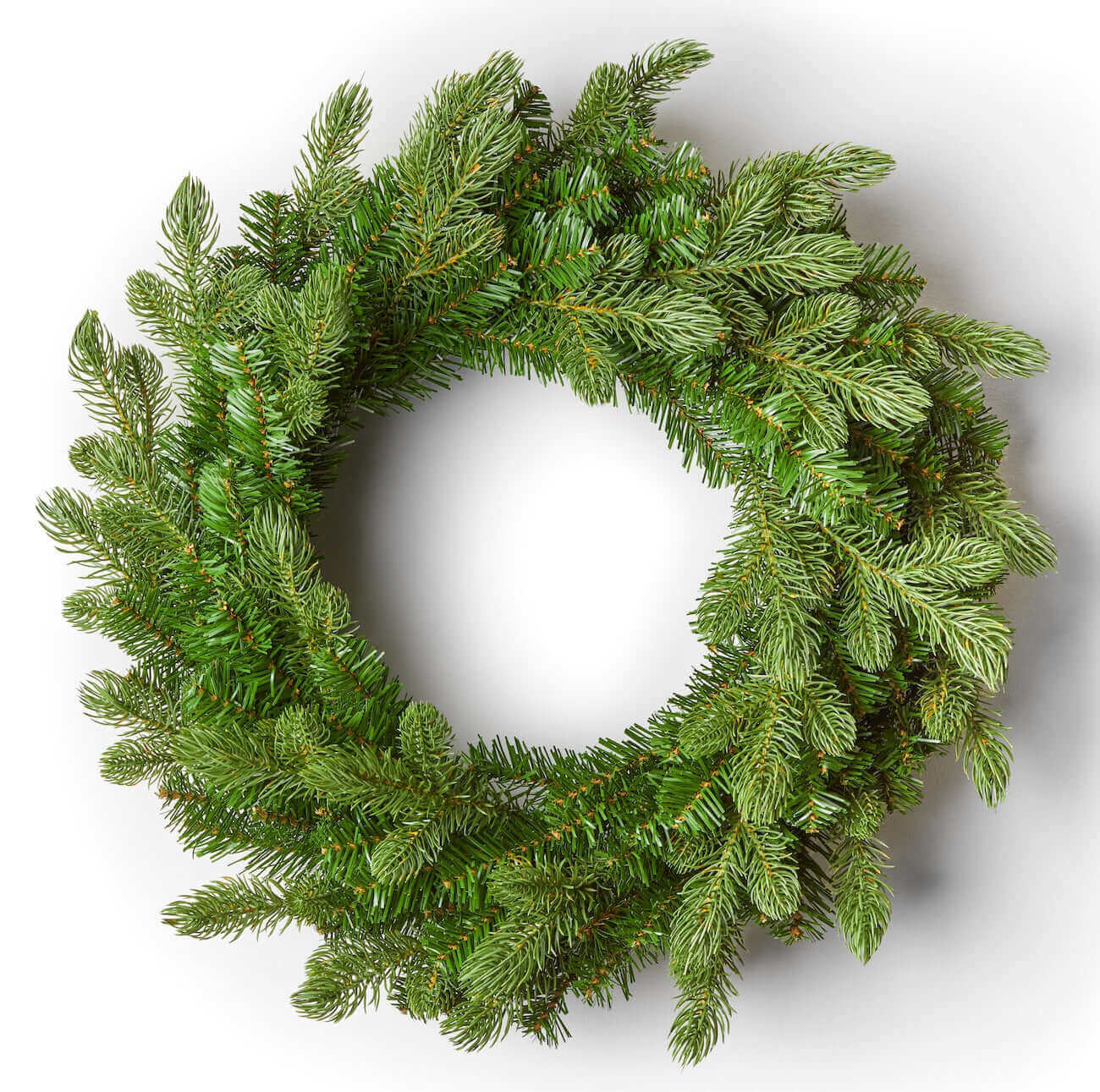 King of Christmas 24" Cypress Spruce Wreath Unlit