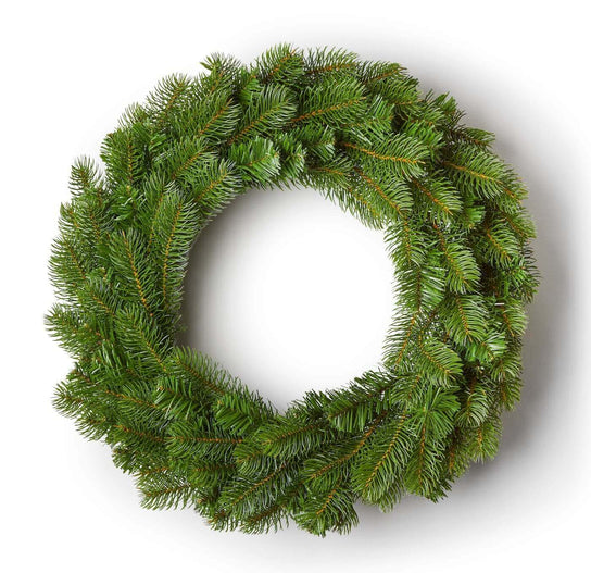 King of Christmas 36" King Douglas Fir Wreath With 150 Warm White LED Lights (Plug Operated)