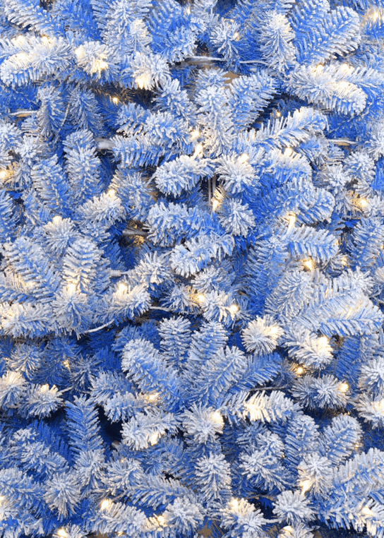 King of Christmas 6.5' Duchess Blue Flock Artificial Christmas Tree with 500 Warm White LED Lights
