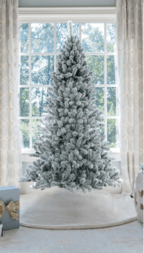 King of Christmas image host