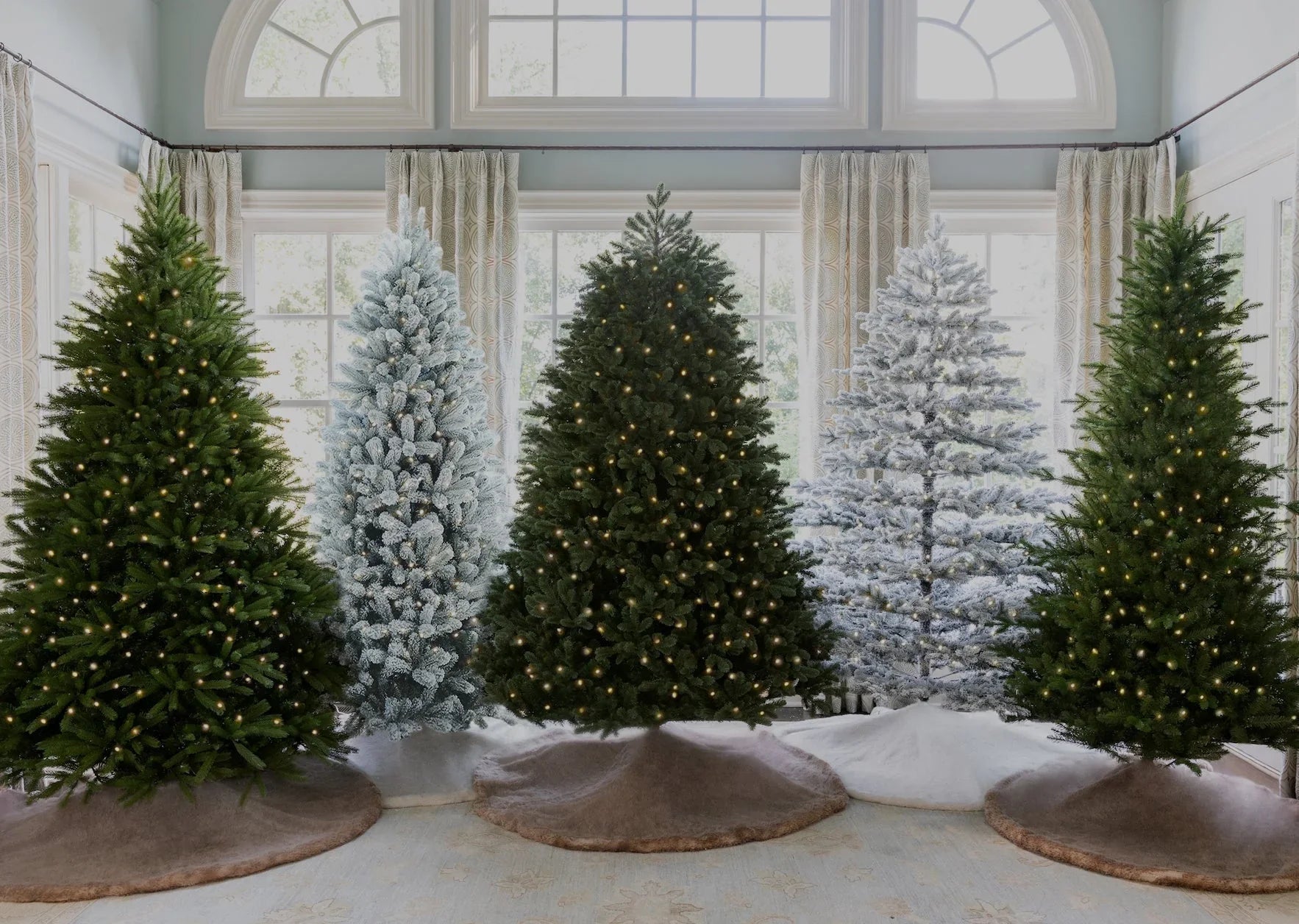 What is the Best Type of Christmas Tree?