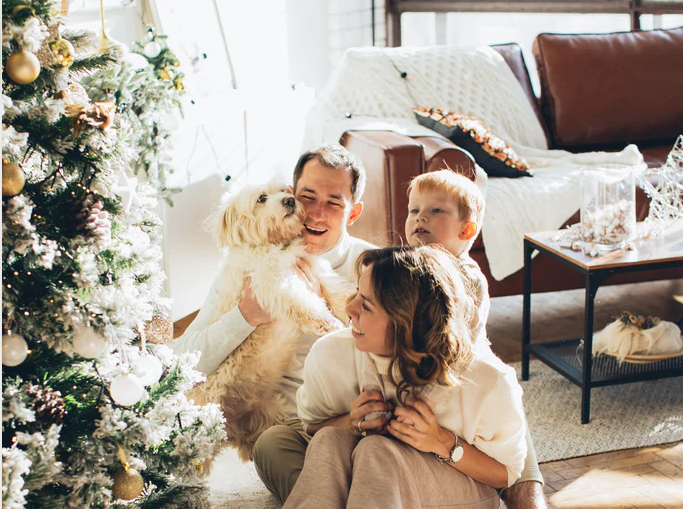 King of Christmas Artificial Christmas Trees - Real Happiness