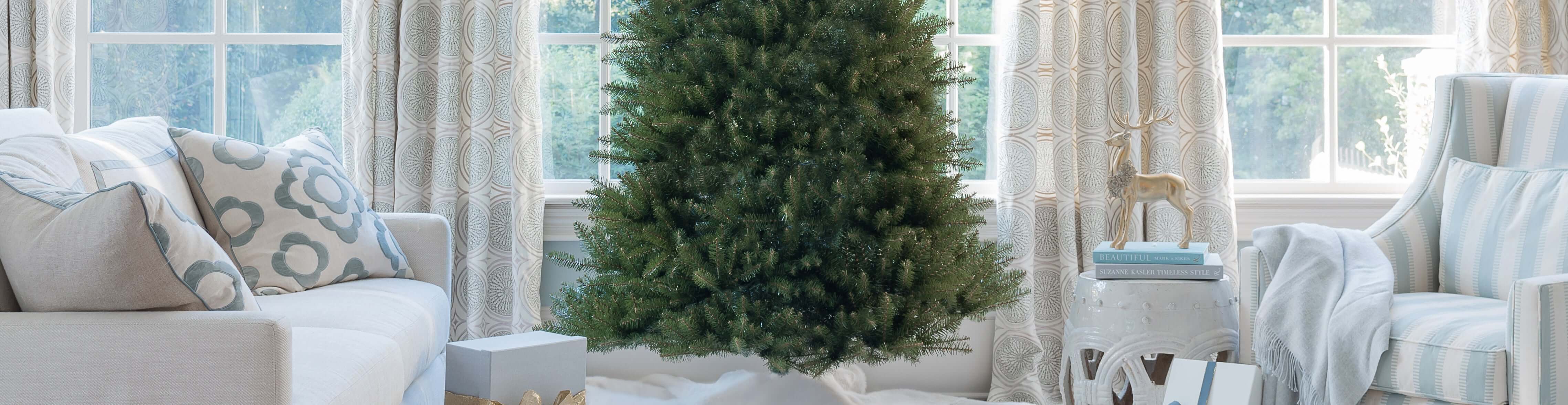 Yorkshire Fir