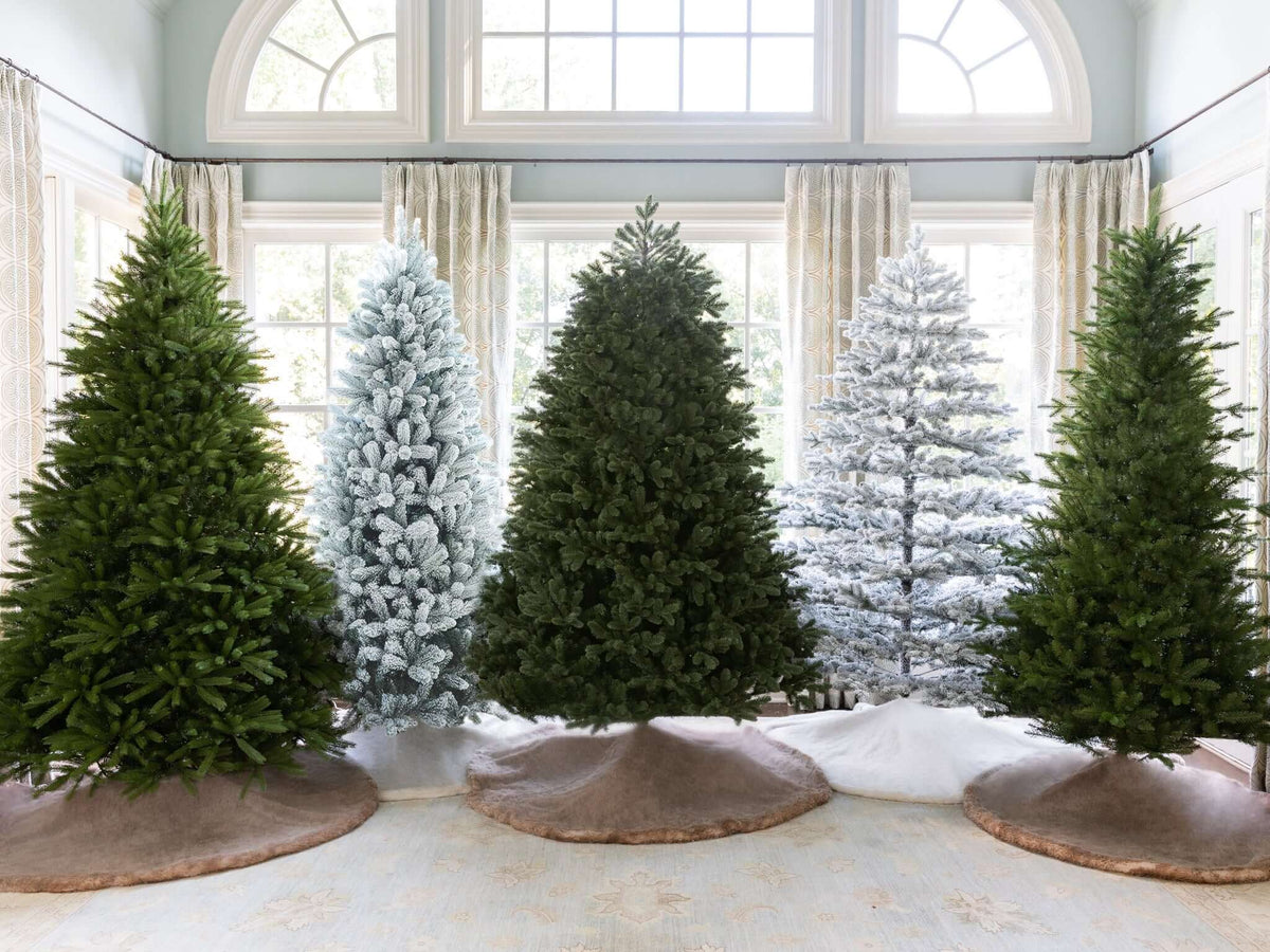 Green and flocked artificial Christmas trees by King of Christmas lined up in a bright sunroom