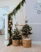 King of Christmas 3' King Noble Fir Tabletop Tree with 70 Warm White LED Lights