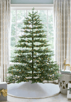 7.5 ft Rushmore Fir artificial Christmas tree, glowing with warm white LED lights in front of a large window