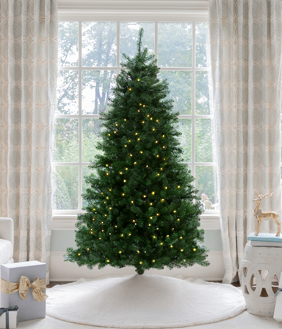 7 ft Hancock Spruce artificial Christmas tree, glowing with warm white LED lights in front of a large window