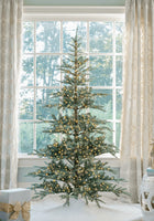 7' King Noble Fir™ Artificial Christmas Tree with 2000 Lux LED Lights