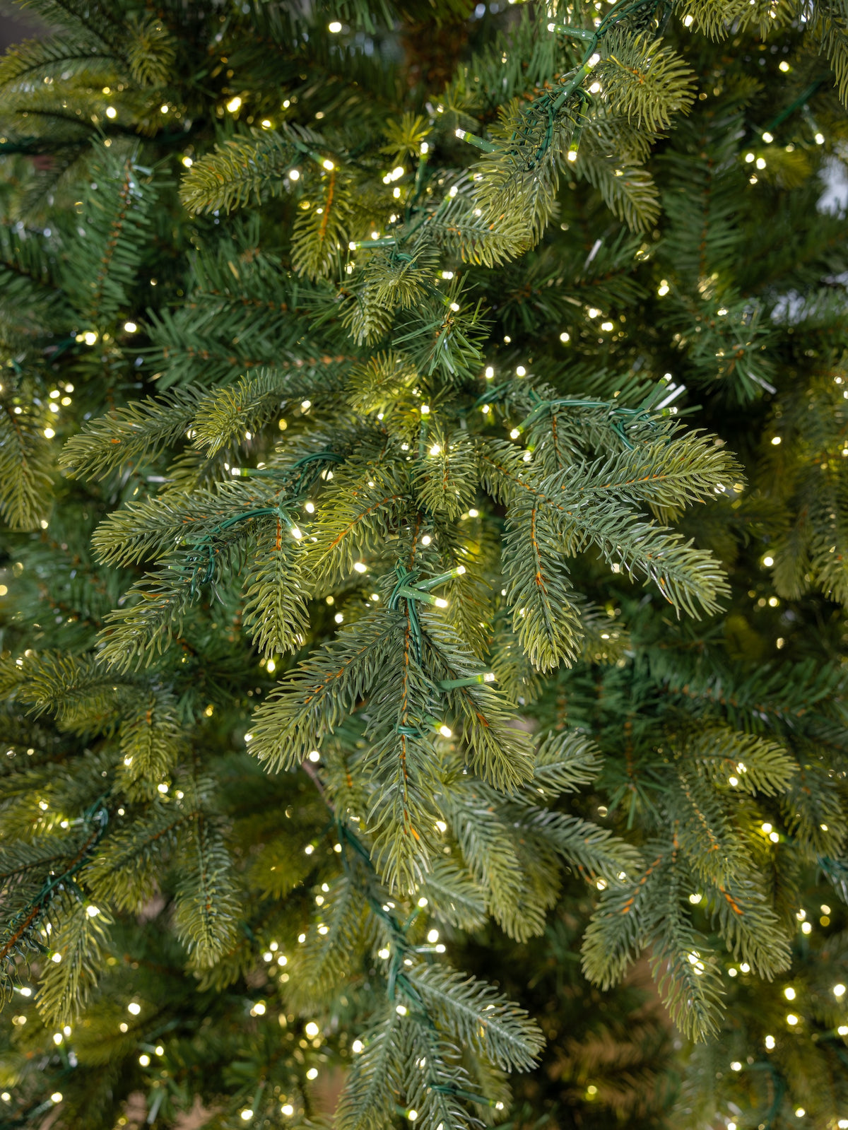 Block 1 tree