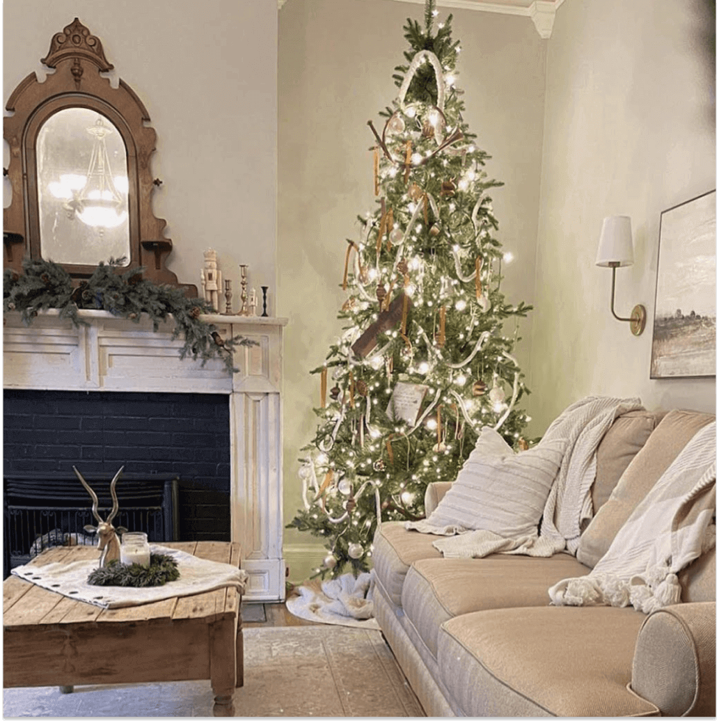 King of Christmas 10' Alpine Fir Slim Artificial Christmas Tree LED 1000 Warm White Led Lights