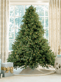 King of Christmas 10' Cypress Spruce Quick-Shape Artificial Christmas Tree with 2300 Warm White & Multi-Color LED Lights