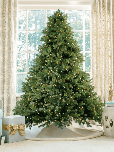 King of Christmas 10' Cypress Spruce Quick-Shape Artificial Christmas Tree with 2300 Warm White & Multi-Color LED Lights