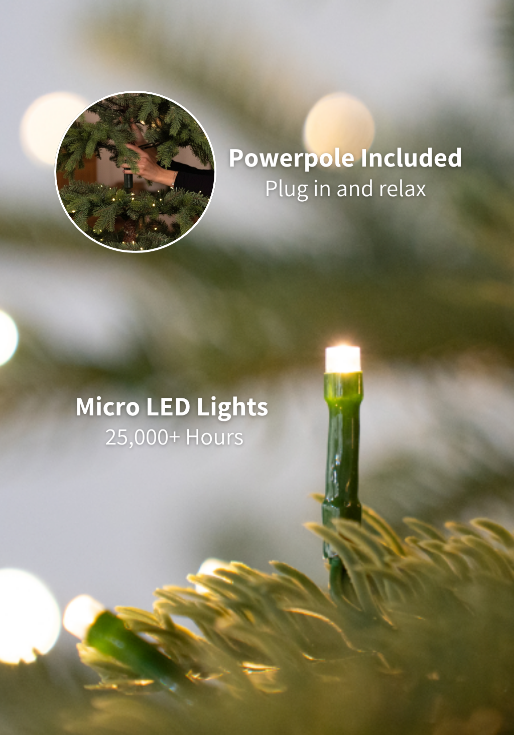 7' King Noble Fir Tree with Warm White LED Lights - OPEN BOX - FINAL SALE
