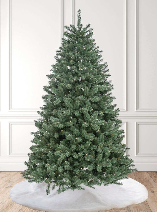 King of Christmas 8' Hancock Spruce Artificial Christmas Tree Unlit. Final Sale.