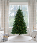 6' Hancock Spruce Artificial Christmas Tree 300 Warm White LED Lights