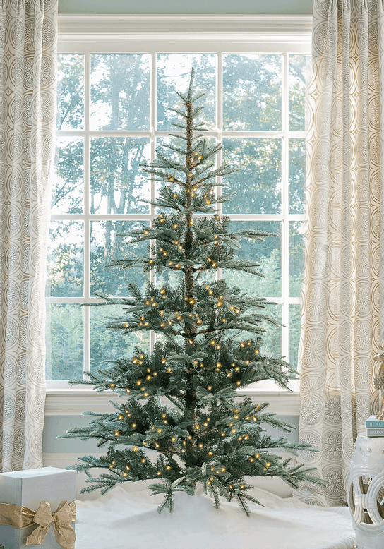 King of Chrismtas 6' King Noble Fir Artificial Christmas Tree with 400 Warm White LED Lights