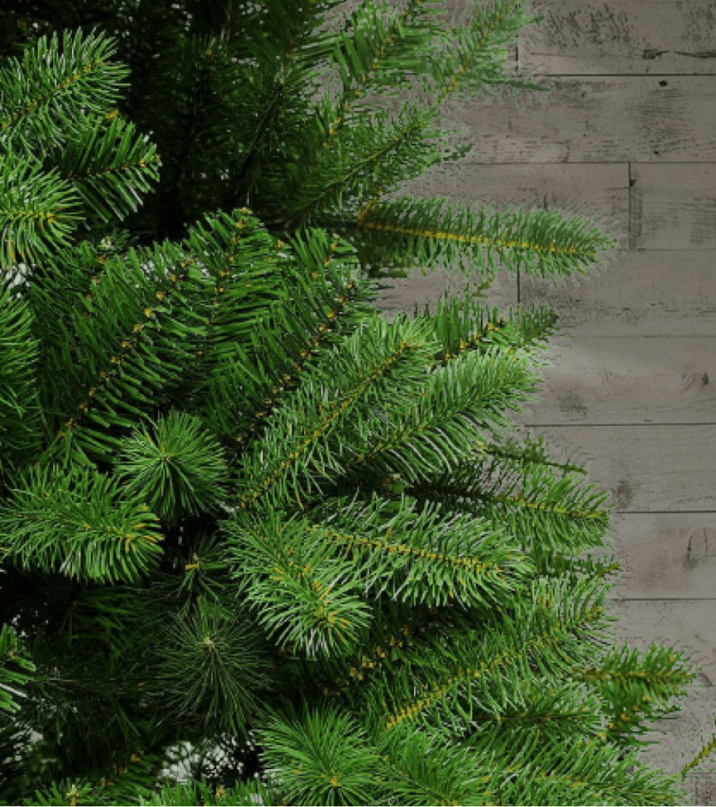 10' King Douglas Fir Slim Quick-Shape Artificial Christmas Tree Unlit