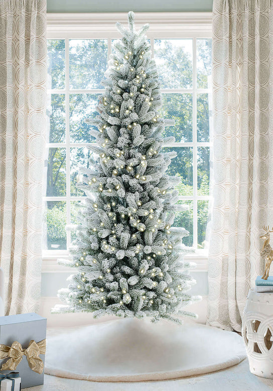 Winter Frost 15-Piece Glass Ornament Set (White-Silver)