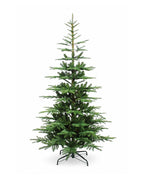 6' King Noble Fir Tree with Warm White LED Lights - OPEN BOX - FINAL SALE