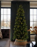 6.5' King Fraser Fir Slim Artificial Christmas Tree with 600 Warm White LED Lights