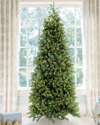 6.5' Royal Fir Slim Tree with Warm White & Multi-Color LED Lights - OPEN BOX - FINAL SALE