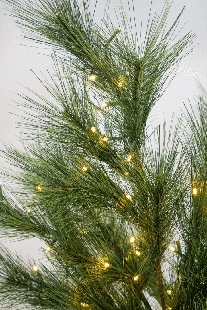 King of Christmas Pine LED Branches (3 Pack)