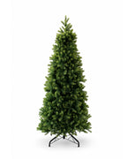 6.5' Royal Fir Slim Tree with Warm White & Multi-Color LED Lights - OPEN BOX - FINAL SALE