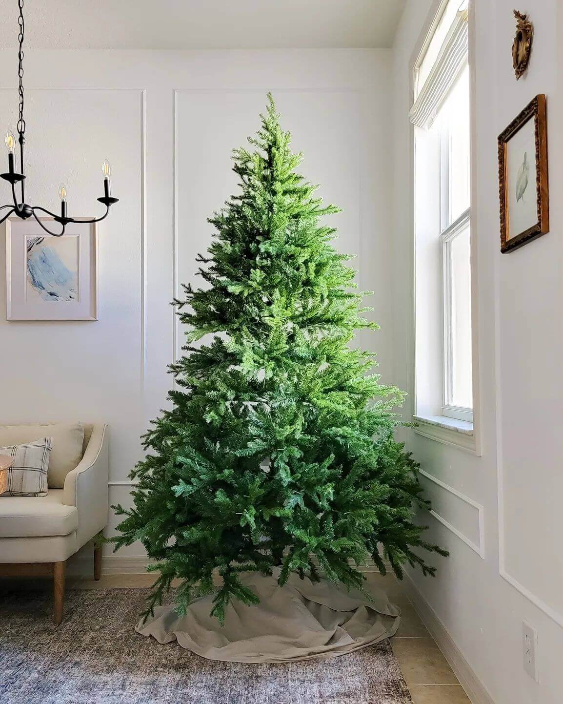King of Christmas 9' Scarlet Fir Artificial Christmas Tree Unlit