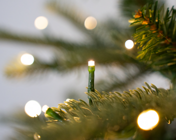 7.5 Foot Yorkshire Fir Artificial Christmas Tree 600 LED Lights – King ...