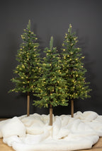 4.5' Windsor Fir Tree with 150 Warm White Twinkle LED Lights