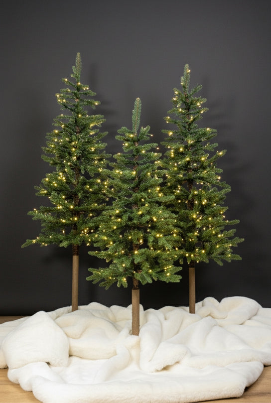 5' Windsor Fir Tree with 150 Warm White Twinkle LED Lights