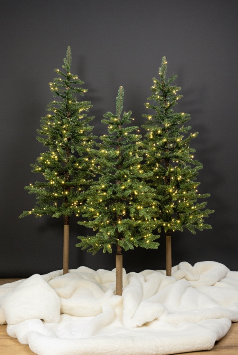 5' Windsor Fir Tree with 150 Warm White Twinkle LED Lights