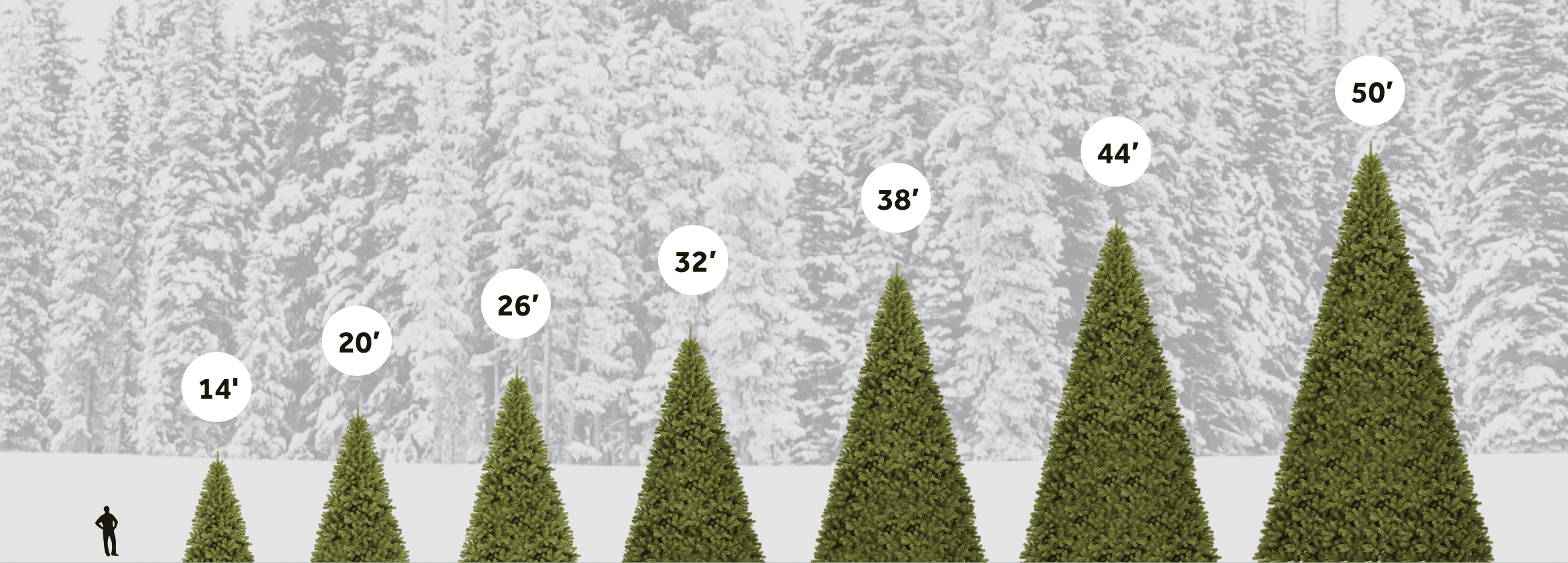 King of Christmas Commercial Trees Sizes