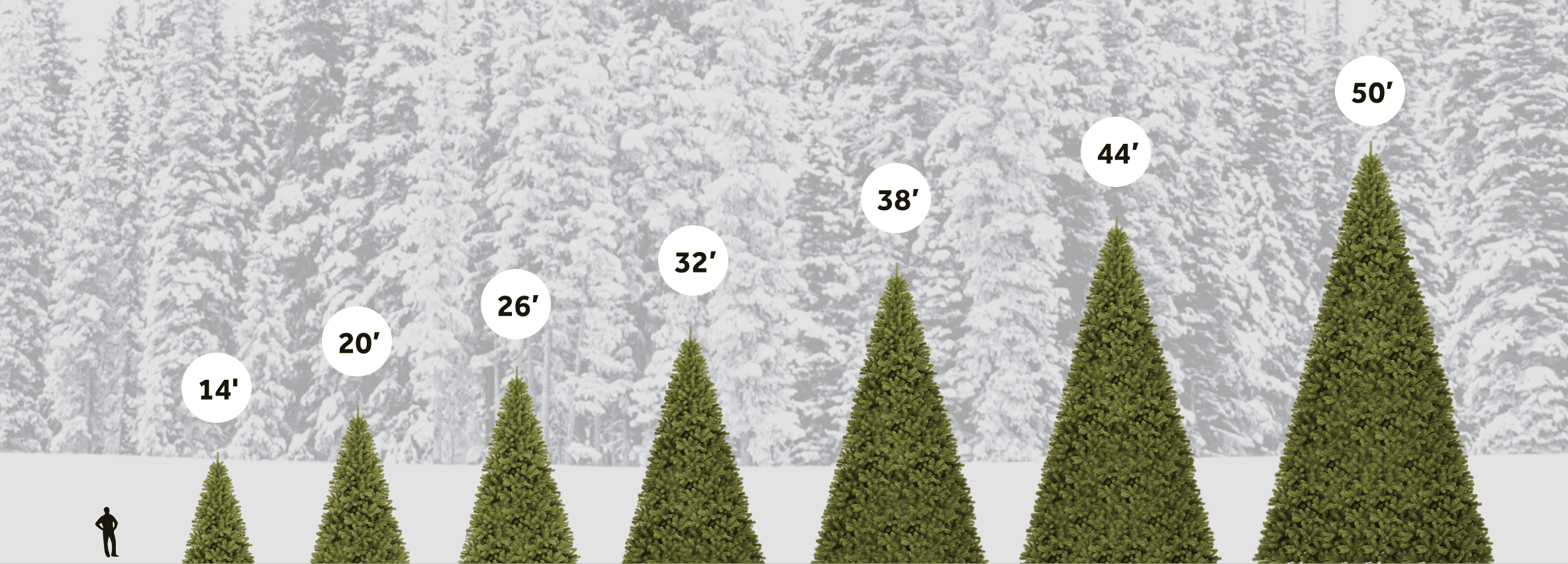 King of Christmas Commercial Trees Sizes