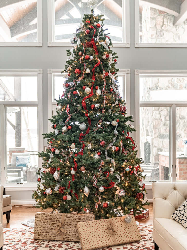 King of Christmas Commercial Trees Magical Atmosphere