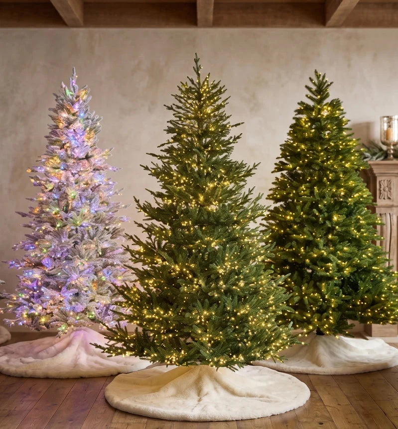 Three pre-lit artificial Christmas trees glowing in multicolor and warm white lights in a rustic room