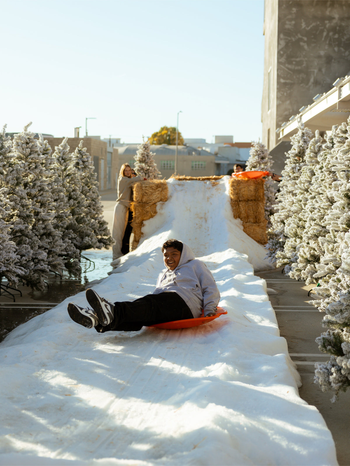Child riding a sled down a snow slide lined with flocked King of Christmas trees at a community holiday event