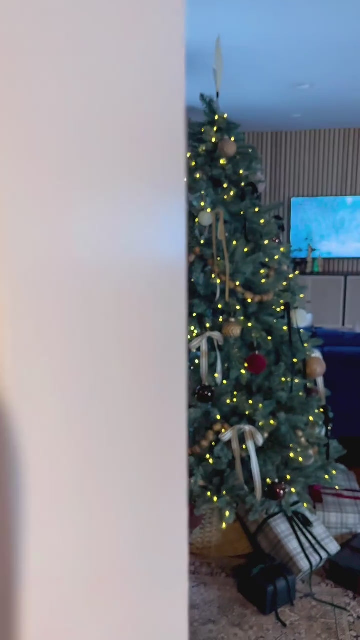 King of Christmas 9' Tribeca Spruce Blue Artificial Christmas Tree with 900 Warm White LED Lights