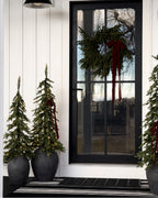 Pair of Windsor Fir artificial Christmas trees, pre-lit with warm white twinkle LED lights, flanking a black front door