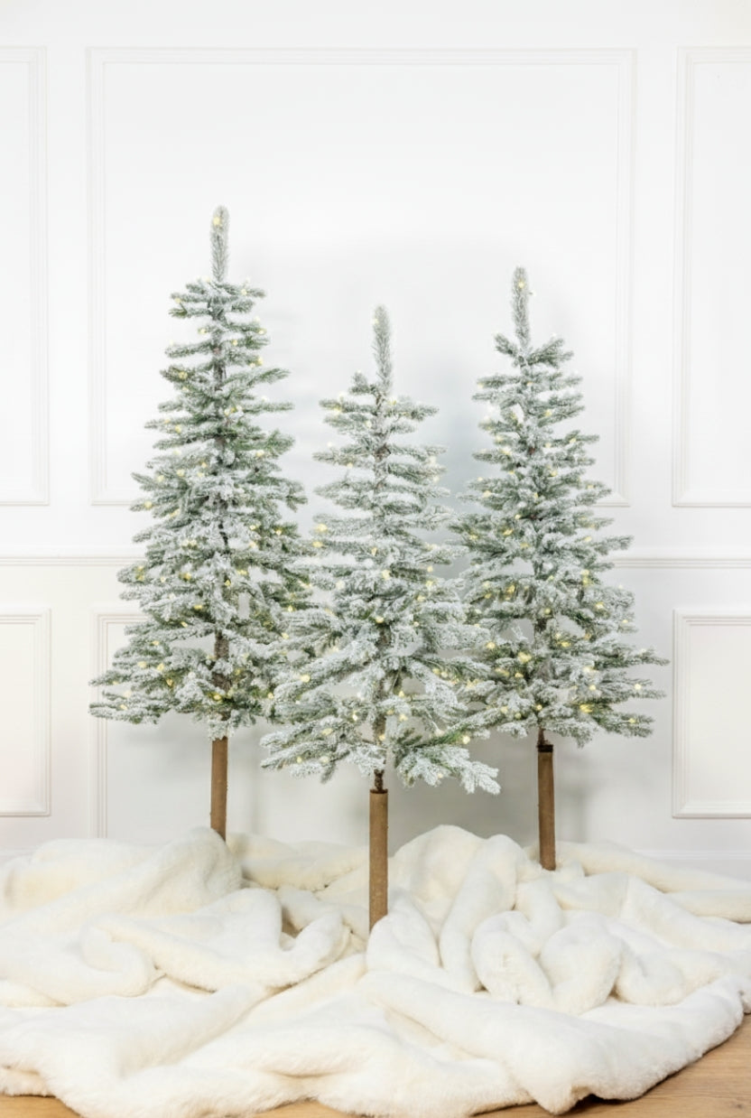 Three Windsor Flock artificial Christmas trees, pre-lit with warm white twinkle LED lights, against a white paneled wall
