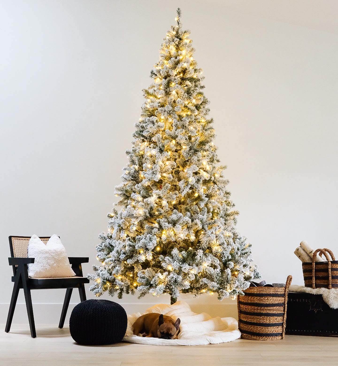 King of Christmas 8' Prince Flock® Artificial Christmas Tree with 550 Warm White LED Lights