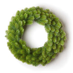 24 in Royal Fir artificial Christmas wreath, unlit, on a white background