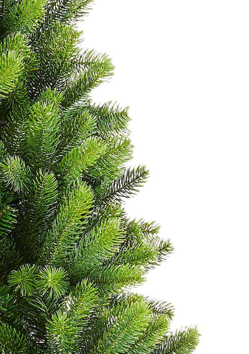 King of Christmas 6.5' Royal Fir Slim Quick-Shape Artificial Christmas Tree Unlit