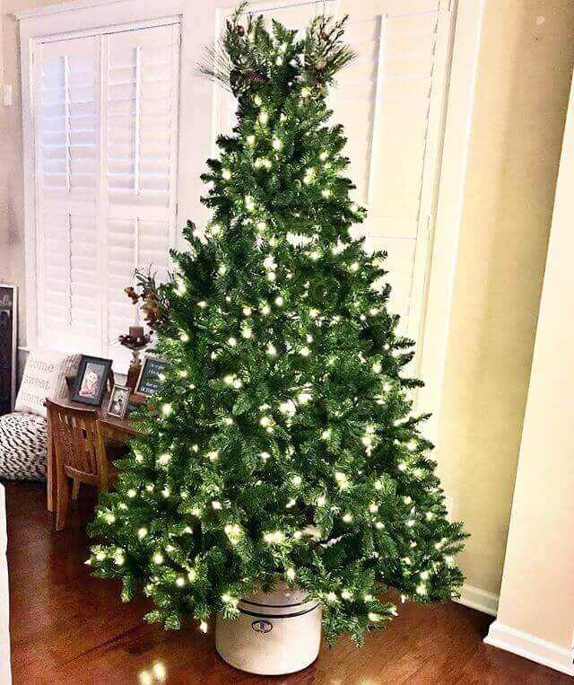 King of Christmas 8' Hancock Spruce Artificial Christmas Tree Unlit. Final Sale.