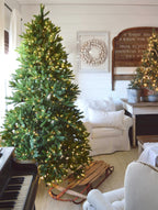 King of Christmas 7.5' King Fraser Fir Quick-Shape Artificial Christmas Tree Unlit