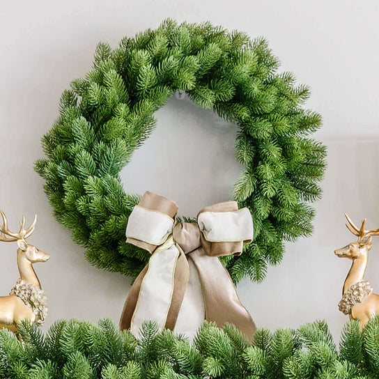 King of Christmas 24" Royal Fir Wreath Unlit