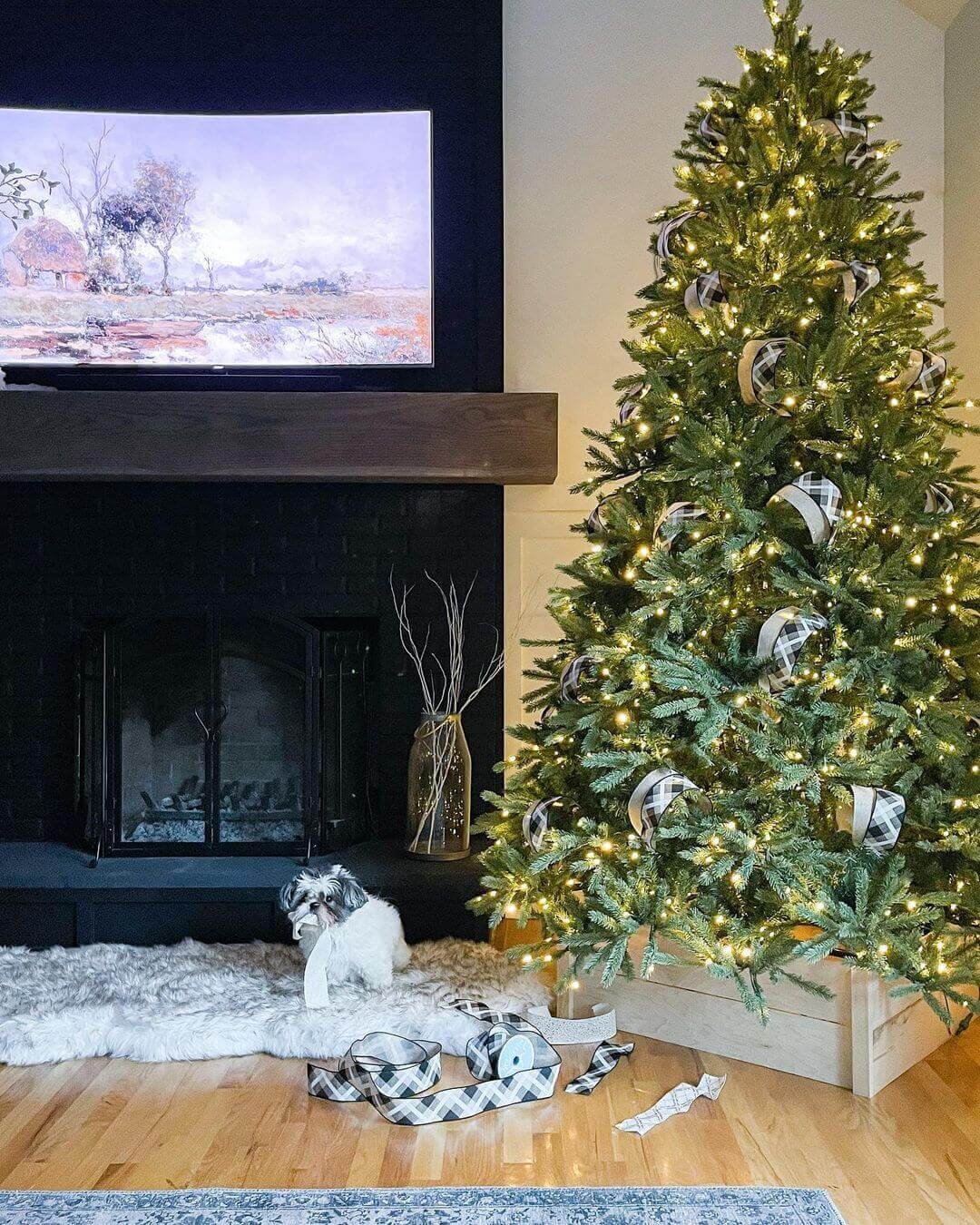 King of Christmas 12' King Fraser Fir Quick-Shape Artificial Christmas Tree with 2300 Warm White & Multi-Color LED Lights